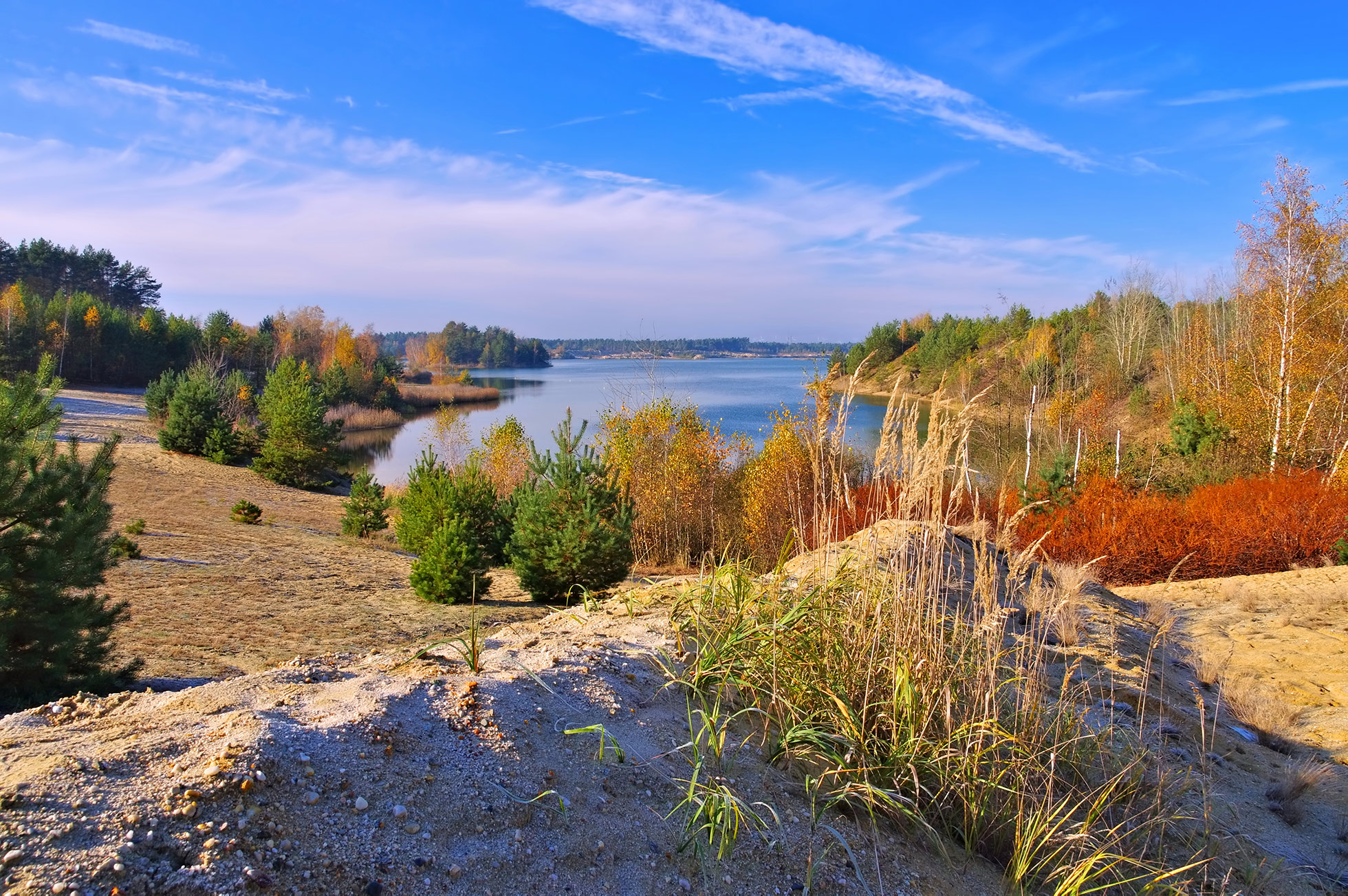 header for Elsterheide