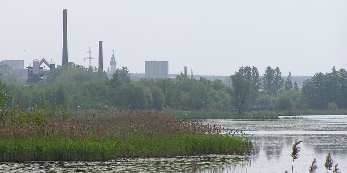 Starachowice - elektroniczne bilety komunikacji miejskiej - mobilet.pl zamiast biletomatów