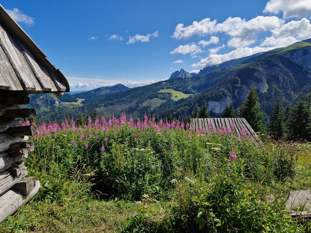 Nietypowy widok na Giewont i Dolinę Kościeliską.