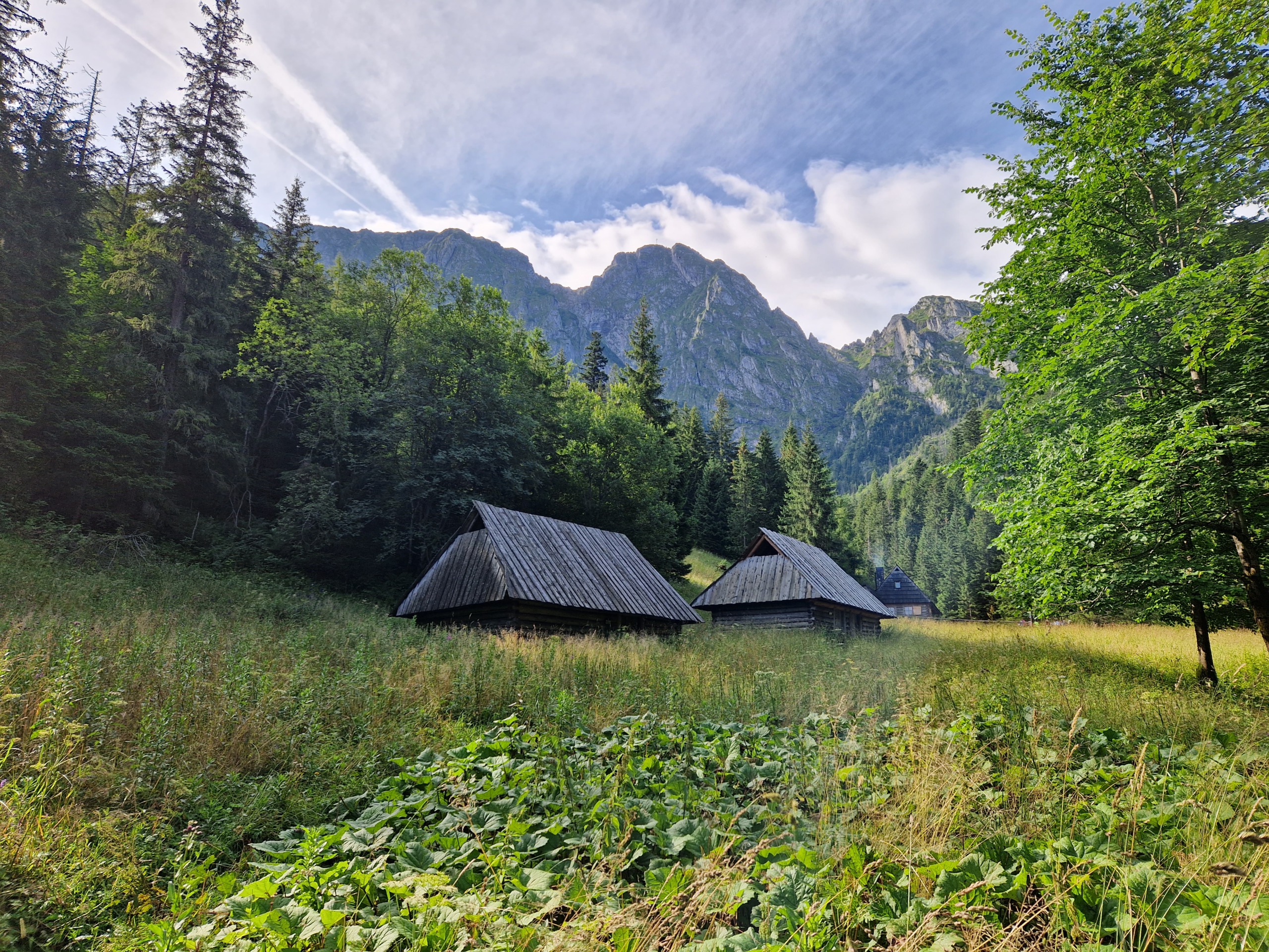 Symbolem Zakopanego jest Giewont - tu widziany z Polany Strążyskiej.
