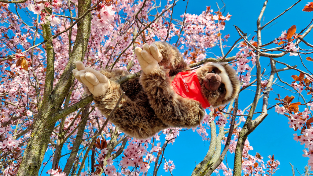 Pluszowa maskotka Mobilet - Leniwiec Lenny - może odpoczywać na drzewie dzięki rzepom na łapkach.